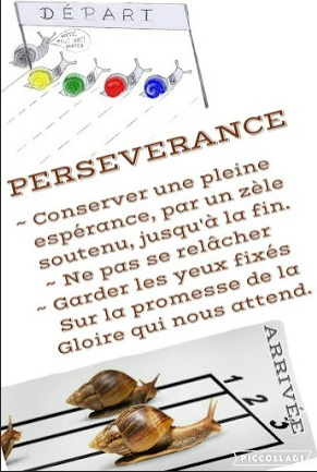 Perseverance 1