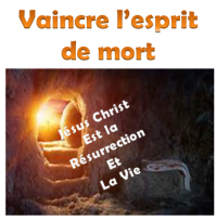 artbook mort ou vivant pdf télécharger